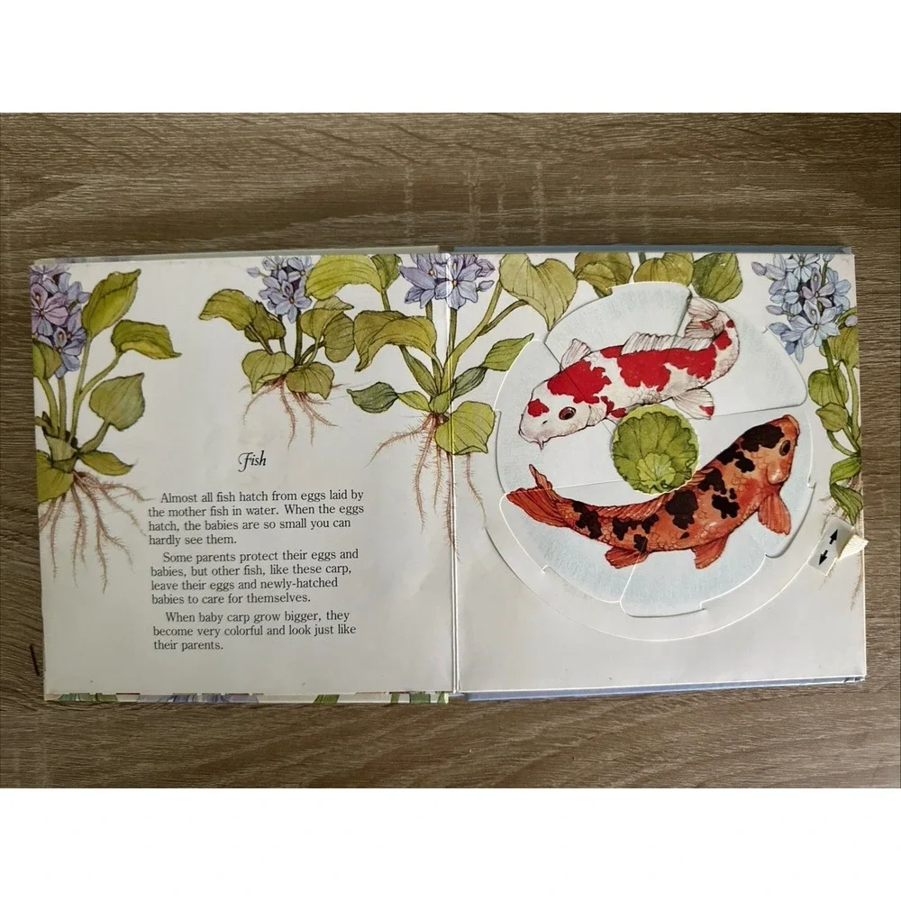 Baby‎ Animals  A Change-A-Picture Book  by Larry Shapiro 1979 Discovery Toys GUC